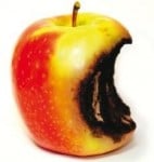 apple-rotten
