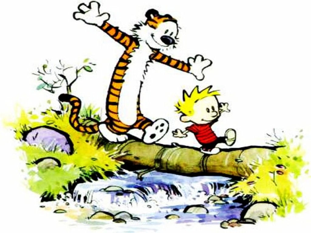 the essential calvin and hobbes