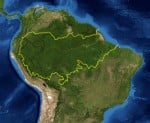 Amazon_rainforest[1]