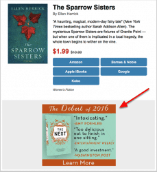 bookbub-ads-example-the-nest