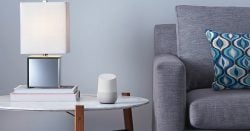 google home