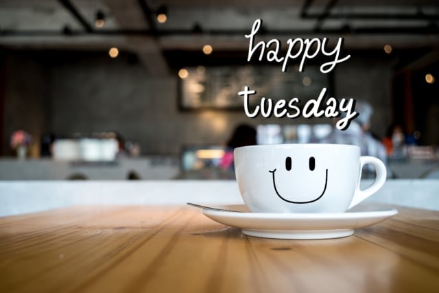 happy tuesday funny quotes