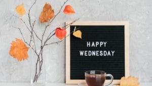 150 Happy Tuesday Quotes - Parade