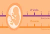 Due Date