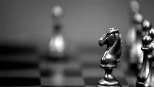 Risk-Taking