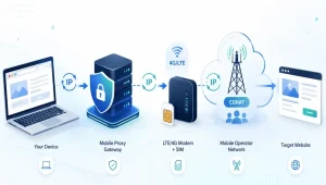 IP Rotation