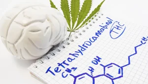 cannabis