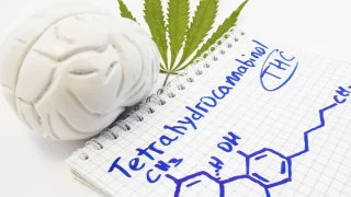 cannabis